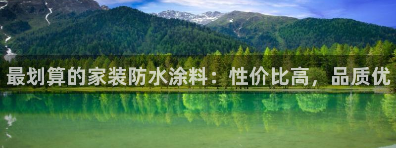 和记app官网：最划算的家装防水涂料：性价比高，品质优