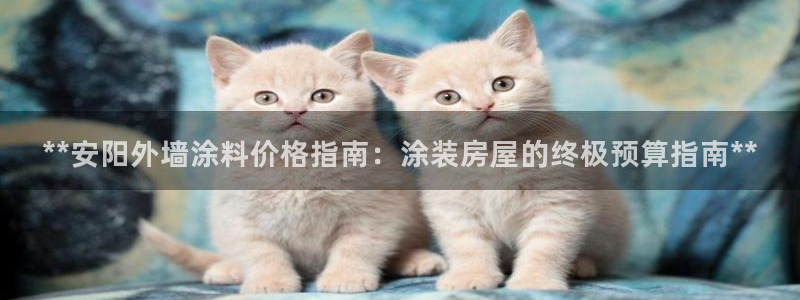 和记h188：**安阳外墙涂料价格指南：涂装房屋的终极预算指南**