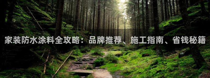 和记ag网页版：家装防水涂料全攻略：品牌推荐、施工指南、省钱秘籍