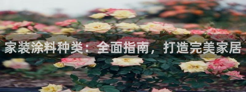 ag和记app