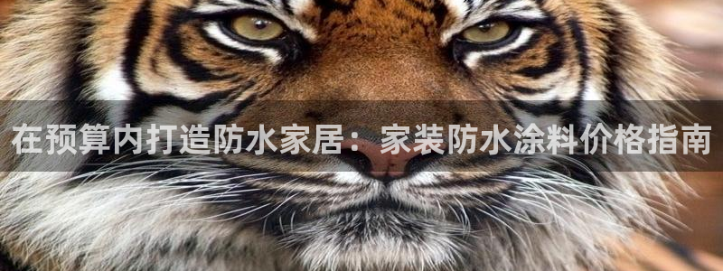 和记官方网址：在预算内打造防水家居：家装防水涂料价格指南