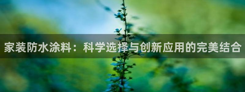 和记平台下载：家装防水涂料：科学选择与创新应用的完美结合