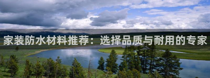 和记登陆：家装防水材料推荐：选择品质与耐用的专家