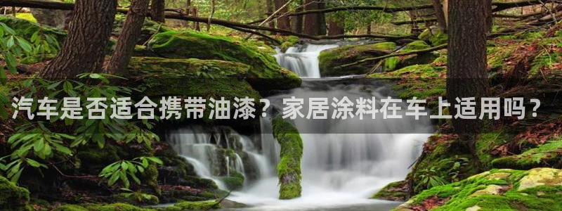 上海和记餐饮：汽车是否适合携带油漆？家居涂料在车上适用吗？