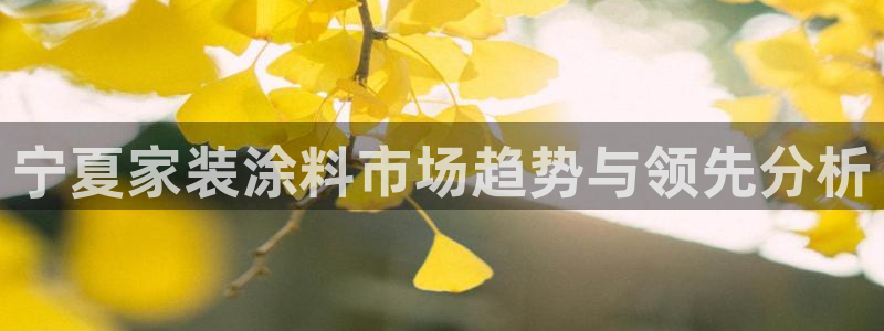 和记h88游戏：宁夏家装涂料市场趋势与领先分析