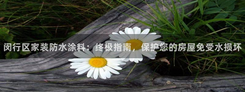 和记ag登录：闵行区家装防水涂料：终极指南，保护您的房屋免受
