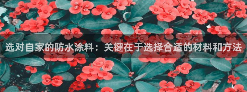 下载和记app：选对自家的防水涂料：关键在于选择合适的材料和方法