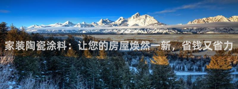 和记平台官网：家装陶瓷涂料：让您的房屋焕然一新，省钱又省力