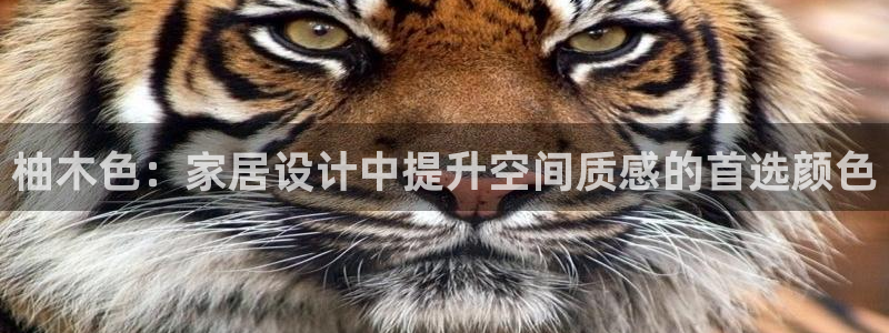 和记官网首页：柚木色：家居设计中提升空间质感的首选颜色