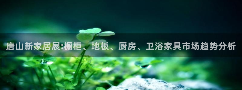 和记(福建)商贸有限公司招聘：唐山新家居展:橱柜、地板、厨房、卫浴家具市场趋势分析