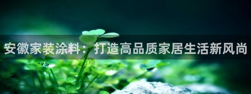 和记国际听：安徽家装涂料：打造高品质家居生活新风尚