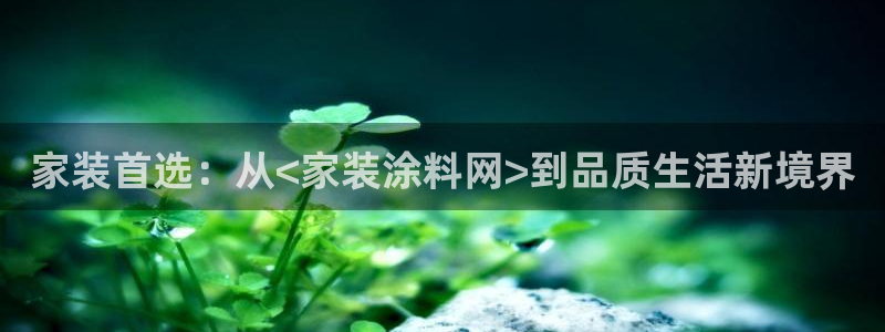 上海和记餐饮：家装首选：从<家装涂料网>到品质生活新境界
