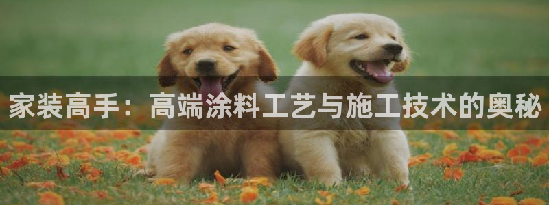 ag和记app：家装高手：高端涂料工艺与施工技术的奥秘