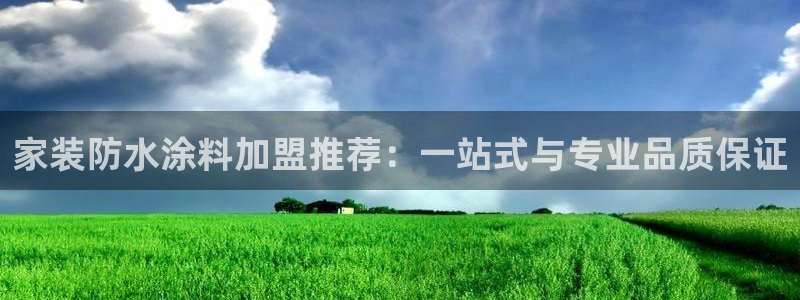 和记下载：家装防水涂料加盟推荐：一站式与专业品质保证