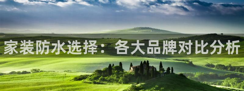 和记平台下载：家装防水选择：各大品牌对比分析