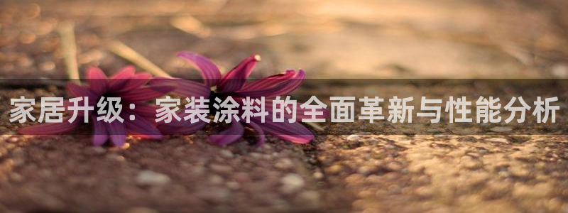 和记 中国首页：家居升级：家装涂料的全面革新与性能分析