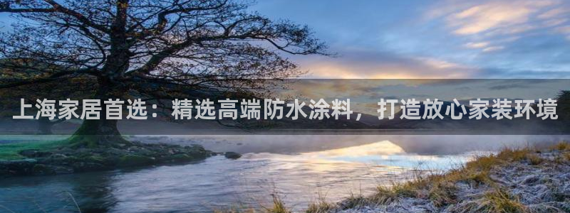 和记H88：上海家居首选：精选高端防水涂料，打造放心家装环境
