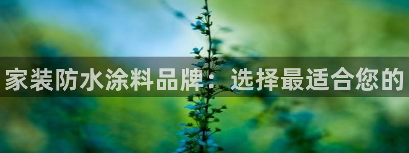 和记网页：家装防水涂料品牌：选择最适合您的