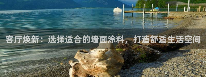 和记 首页：客厅焕新：选择适合的墙面涂料，打造舒适生活空间