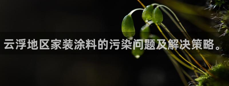 和记AG旗舰：云浮地区家装涂料的污染问题及解决策略。