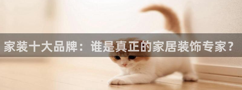 和记AG：家装十大品牌：谁是真正的家居装饰专家？