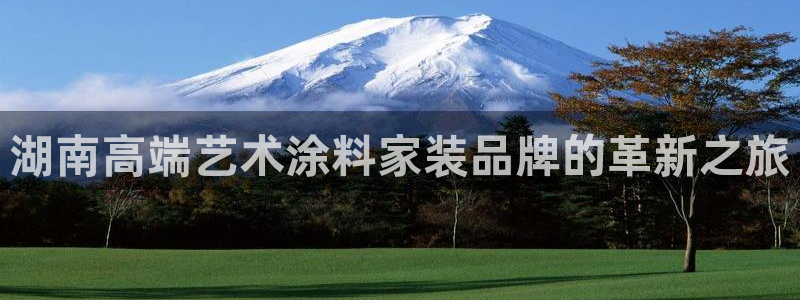 和记平台：湖南高端艺术涂料家装品牌的革新之旅