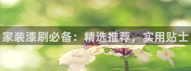 和记AG旗舰：家装漆刷必备：精选推荐，实用贴士