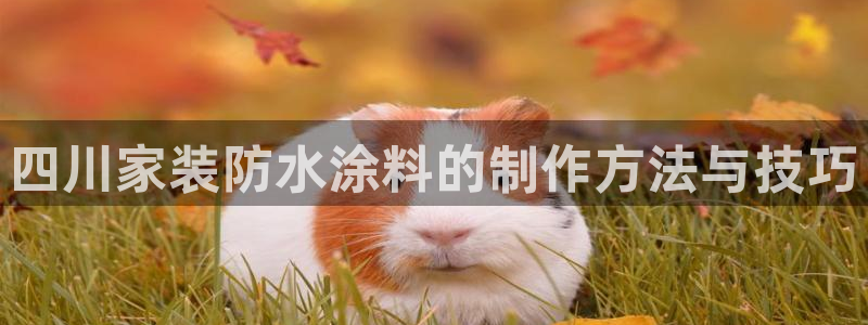 和记官网首页：四川家装防水涂料的制作方法与技巧