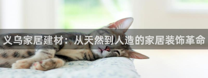 和记Ag：义乌家居建材：从天然到人造的家居装饰革命