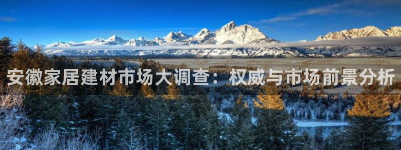 下载和记app：安徽家居建材市场大调查：权威与市场前景分析