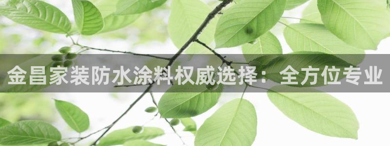 和记ag旗舰厅app