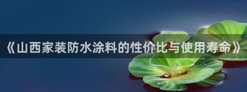 和记注册有什么送的：《山西家装防水涂料的性价比与使用寿命》