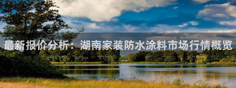 和记app官网：最新报价分析：湖南家装防水涂料市场行情概览