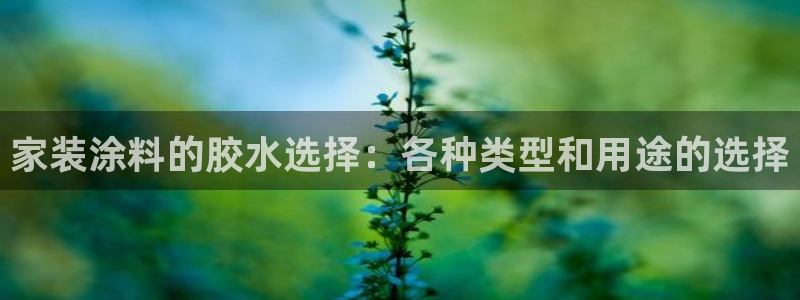 和记最新官方网址：家装涂料的胶水选择：各种类型和用途的选择