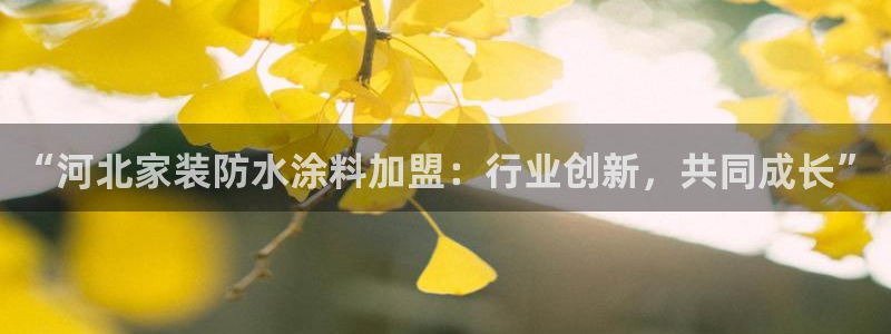 上海和记餐饮有限公司：“河北家装防水涂料加盟：行业创新，共同成长”