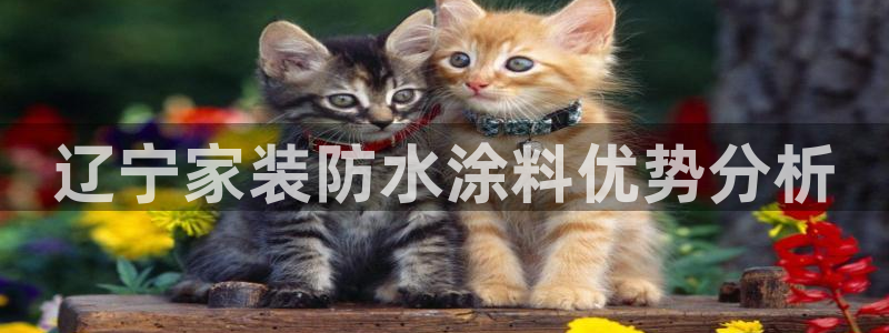 和记(福建)商贸有限公司
