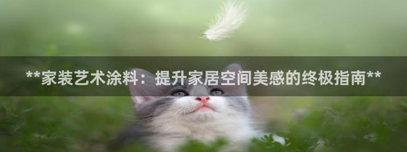 和记ag旗舰：**家装艺术涂料：提升家居空间美感的终极指南**