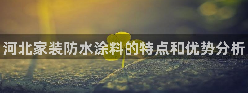 和记官方网站：河北家装防水涂料的特点和优势分析