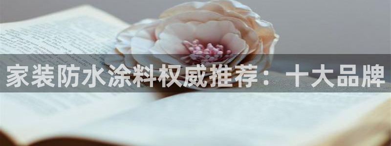 和记电业集团：家装防水涂料权威推荐：十大品牌