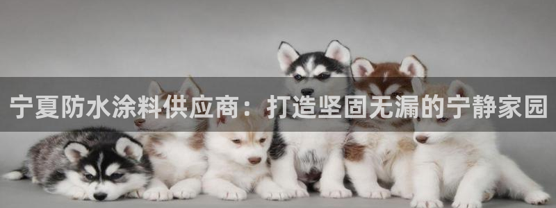 和记下载：宁夏防水涂料供应商：打造坚固无漏的宁静家园