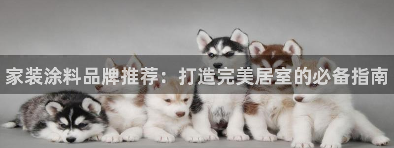 和记官方直营注册导航：家装涂料品牌推荐：打造完美居室的必备指南