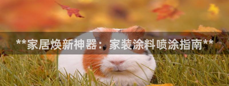 和记广告女主角：**家居焕新神器：家装涂料喷涂指南**