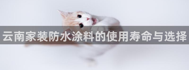 和记国际：云南家装防水涂料的使用寿命与选择