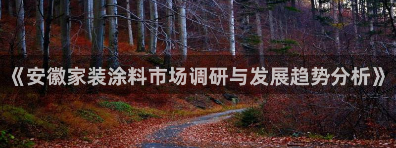 和记旗舰厅：《安徽家装涂料市场调研与发展趋势分析》