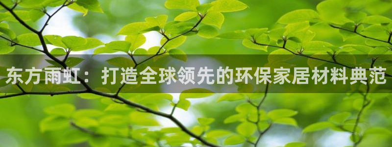 和记电业集团：东方雨虹：打造全球领先的环保家居材料典范