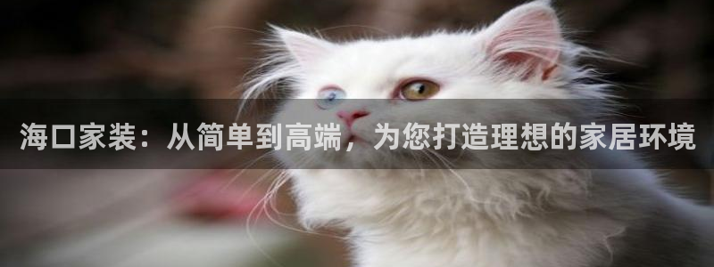 和记广告女主角：海口家装：从简单到高端，为您打造理想的家居环境