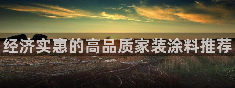 深圳和记科技有限公司：经济实惠的高品质家装涂料推荐