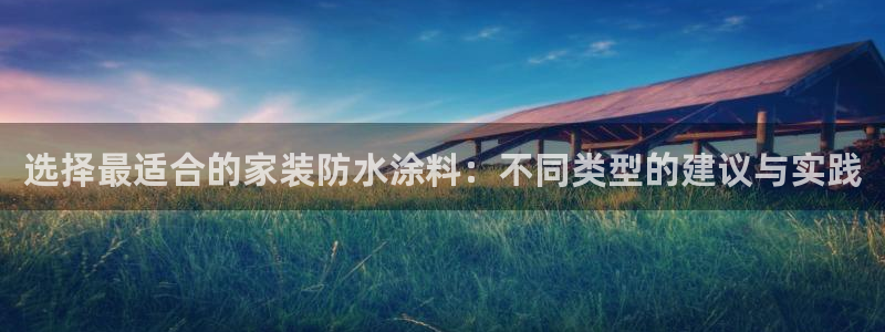 和记pc：选择最适合的家装防水涂料：不同类型的建议与实践