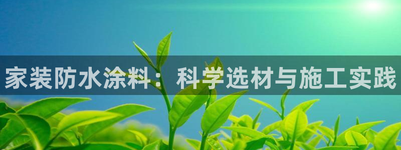 和记官方网站：家装防水涂料：科学选材与施工实践
