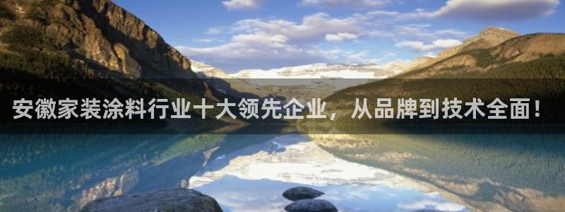 和记注册有什么送的：安徽家装涂料行业十大领先企业，从品牌到技术全面！